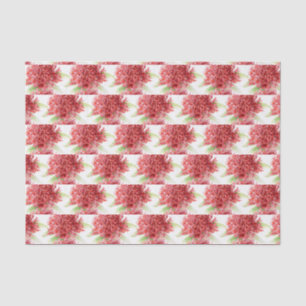 Mousseline fleur de Waratah aquarelle rouge papier tissue bot