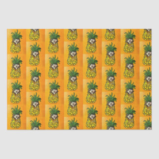 Mousseline Hérisson et papier de tissus d'ananas