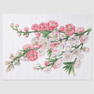 Mousseline La fleur rose et blanche pulvérise le papier de