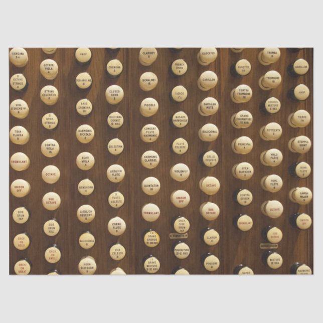 Mousseline L'organe blanc arrête le papier de tissu (Recto)