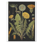 Mobilier Dandilion foncé Découpage Papier