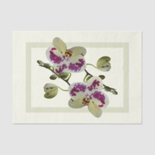 Mousseline Orchidées Jaunes Riche Papier Cadeaux Tissus