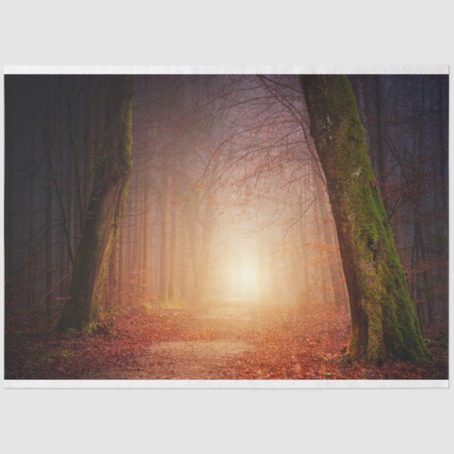 Mousseline Papier à papier de découpage 17 (Recto)