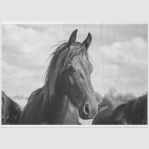 Mousseline papier à tête de cheval