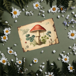 Mousseline Papier de champignons vintages Tabourets de table