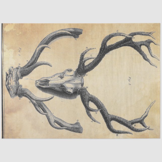 Mousseline Papier de découpage Antler (Recto)