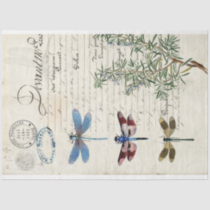 Mousseline Papier de découpage de meubles Ephemera de libellu