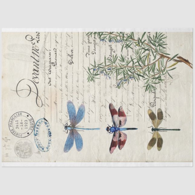 Mousseline Papier de découpage de meubles Ephemera de libellu (Recto)