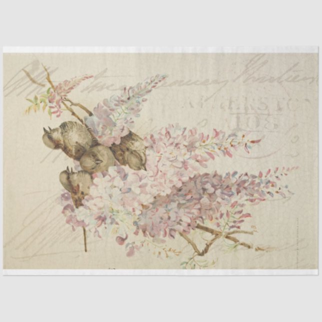 Mousseline Papier de découpage de meubles pour oiseaux doux (Recto)