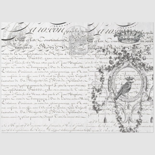 Mousseline Papier de découpage de script de dessin d'oiseaux  (Recto)