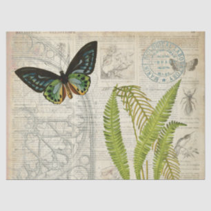 Mousseline Papier de Decoupage d'éphémères de papillon
