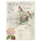 Papier de découpage Ephemera d'oiseaux