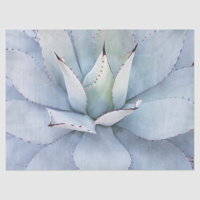 Mousseline Papier de fond de découpage de Cactus du désert (Recto)