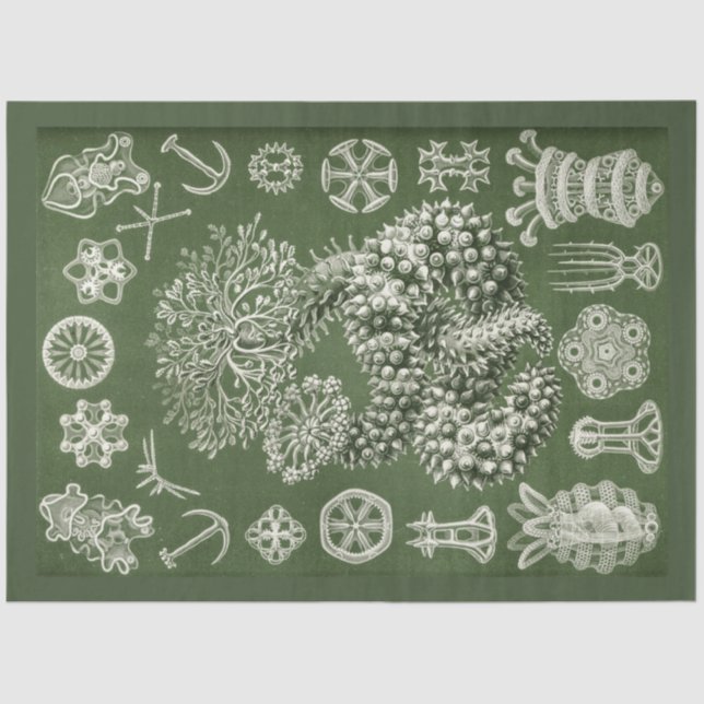 Mousseline Papier de fond de découpage de la vie marine vinta (Recto)