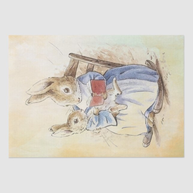 Mousseline Papier de fond Peter Rabbit (Recto)