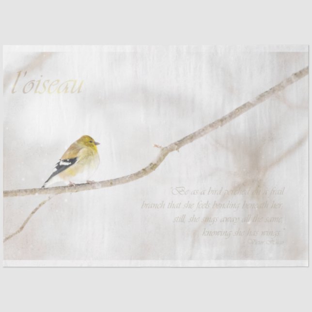 Mousseline Papier de papier de découpage Goldfinch (Recto)
