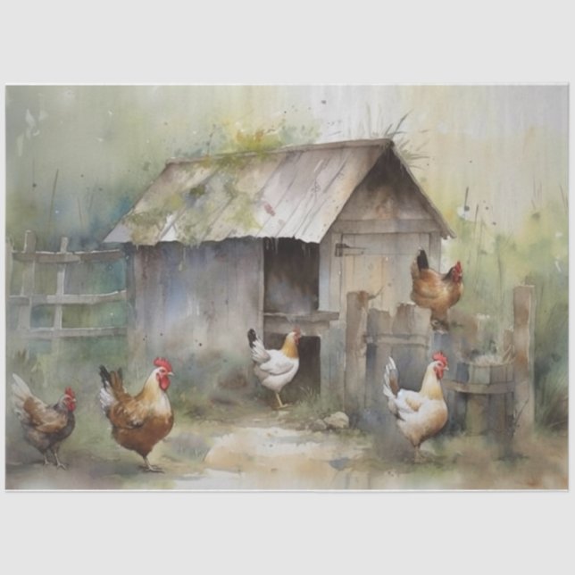 Mousseline Papier de papier de fond de cuvette de poulet (Recto)