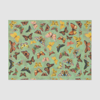 Mousseline Papier de papier de papier de papillons