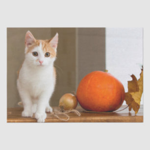 Mousseline papier de tissu de chat octobre