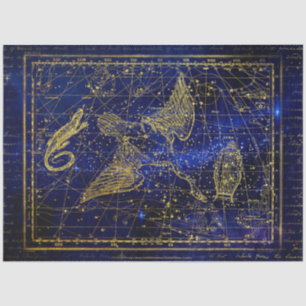 Mousseline papier de tissu de la constellation de lézard et d