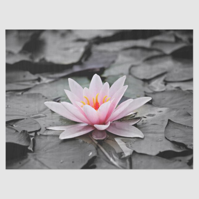 Mousseline papier de tissu de nénuphar (Recto)