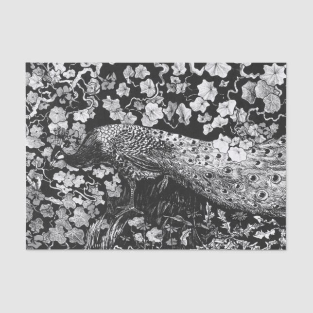 Mousseline Papier de tissus NOIR ET BLANC PEACOCK (Recto)