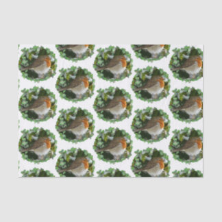 Mousseline Papier de tissus Robins - 15 gsm (10 lb), blanc