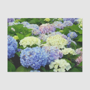 Mousseline PAPIER D'ENVELOPPEMENT Mix-TISSUE Hydrangea