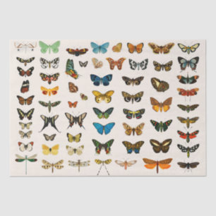 Mousseline PAPIER MOUSSELINE: GRAPHIQUE vintage DE BOUTEILLE