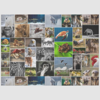 Mousseline Papier sur les tissus animaux sauvages "My Animal