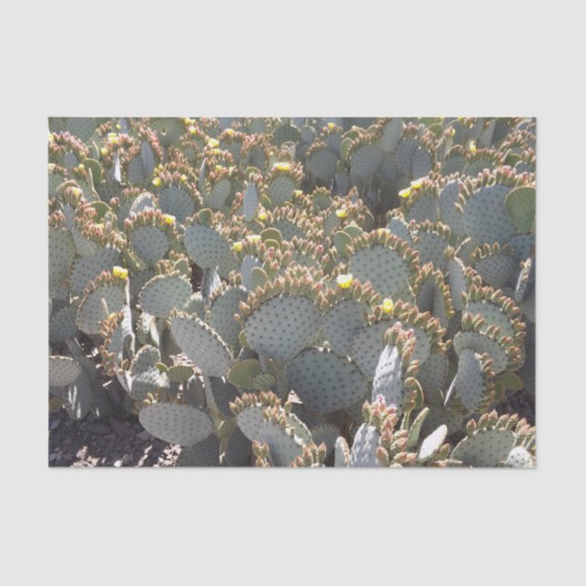 Mousseline Papier Tissu Cactus (Recto)