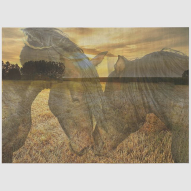 Mousseline Papier Tissu Cheval (Recto)