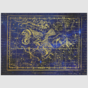 Mousseline papier tissu de constellation delphinique