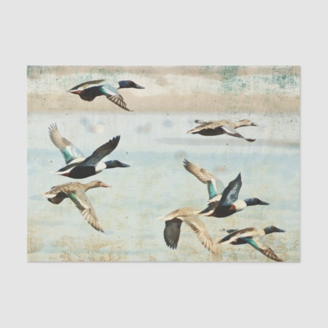 Mousseline Papier Tissu Flying Ducks (Recto)
