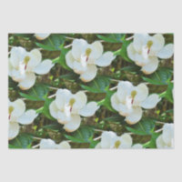 Papier Tissu Magnolia Blossoms
