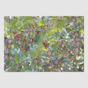 Mousseline Papier Tissu Monarque Papier papillon
