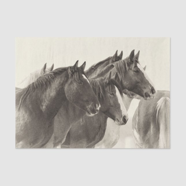 Mousseline Papier Tissu Mustang Cheval vintage (Recto)