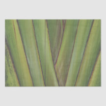 Papier Tissu Palm Traveller