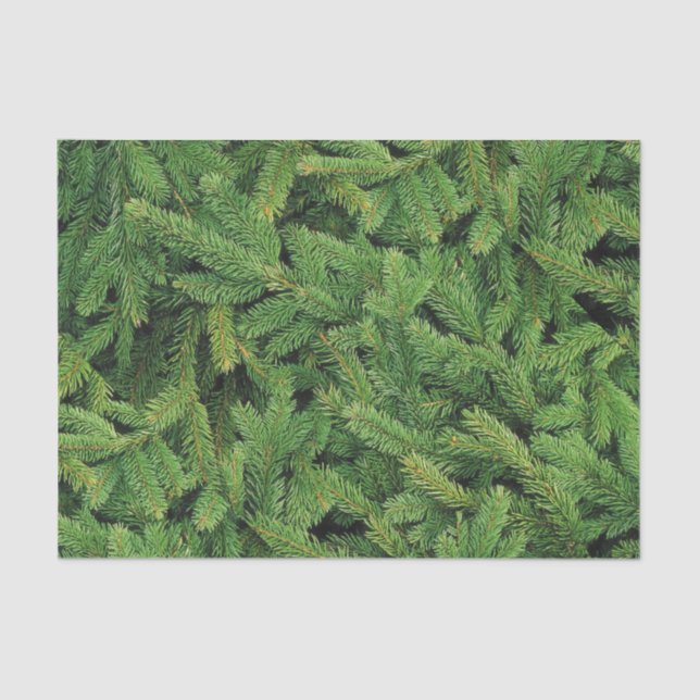 Mousseline Papier Tissu Pine Blanche (Recto)