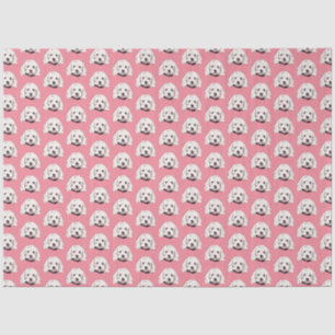 Mousseline Papier Tissu Rose Pis Fille Maltais Blanc