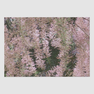 Mousseline Papier Tissu Tamarisk Blossom