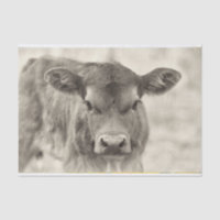 Papier Tissu vintage de veau de vache bébé