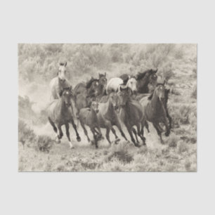 Mousseline Papier Tissu vintage Wild Horses