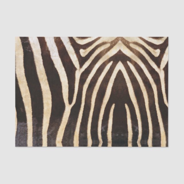 Mousseline Papier Tissu Zebra Skin (Recto)