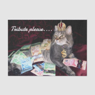 Mousseline Papier Tissus Cat