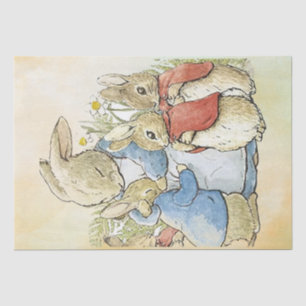 Mousseline Peter Rabbit 8 Papier de tissus