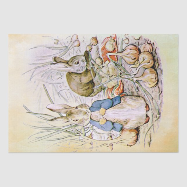 Mousseline Peter Rabbit (oignon) Tissu Papier (Recto)