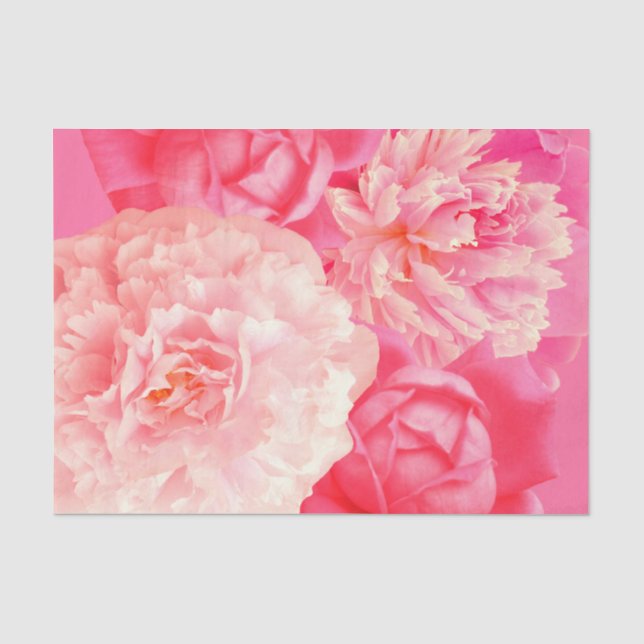 Mousseline Roses de pivoines de pêche de rose de papier de (Recto)