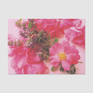 Mousseline Roses en PAPIER WRAP Thyme-TISSUE
