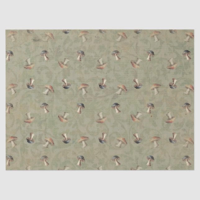 Mousseline Tabourets de Terre Papier Tissu (Recto)